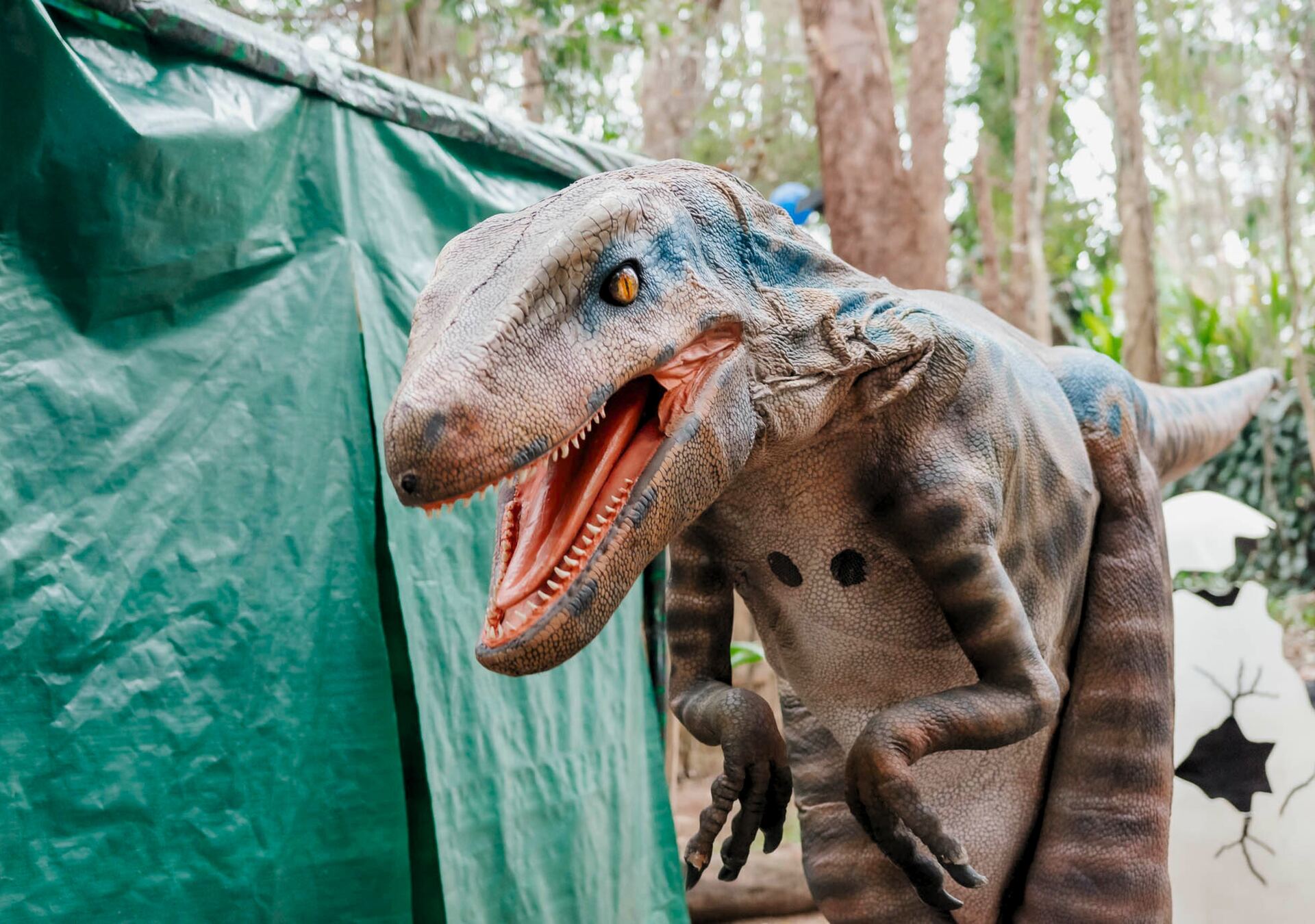 Canto dos Dinossauros